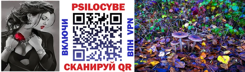 Купить закладки  Западная Двина  Галлюциногенные грибы мицелий 